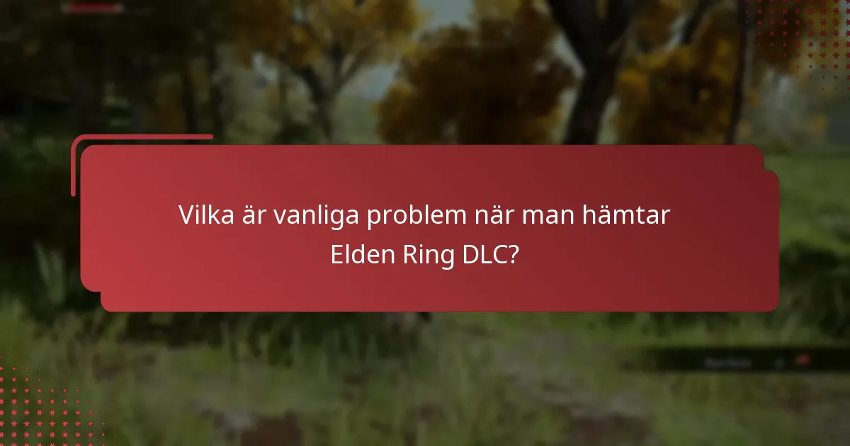 Vilka är vanliga problem när man hämtar Elden Ring DLC?